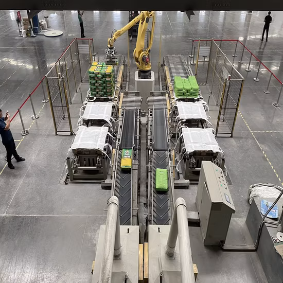 Automatic ABB Robot Stacking Palletizer Machine with Arm Loader